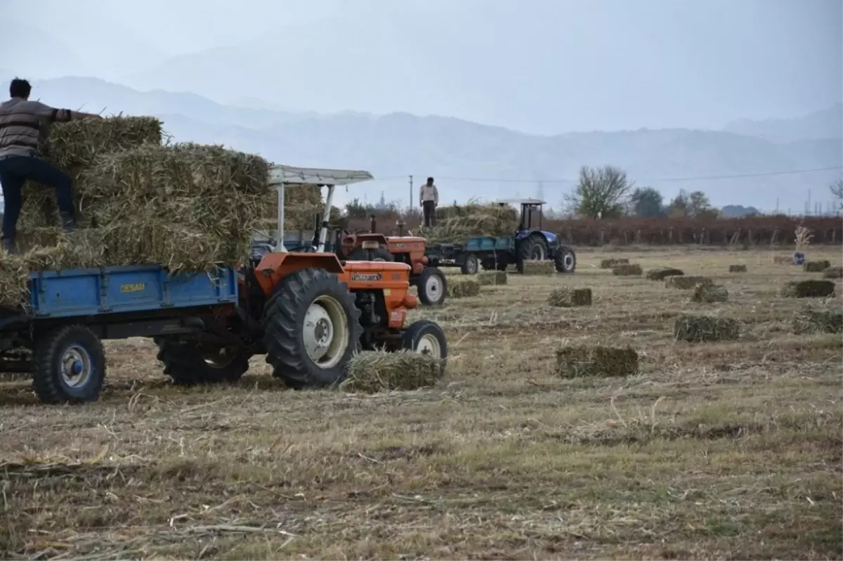 Alaşehir Belediyesinden Üreticiye 150 Ton Ücretsiz Yem Desteği