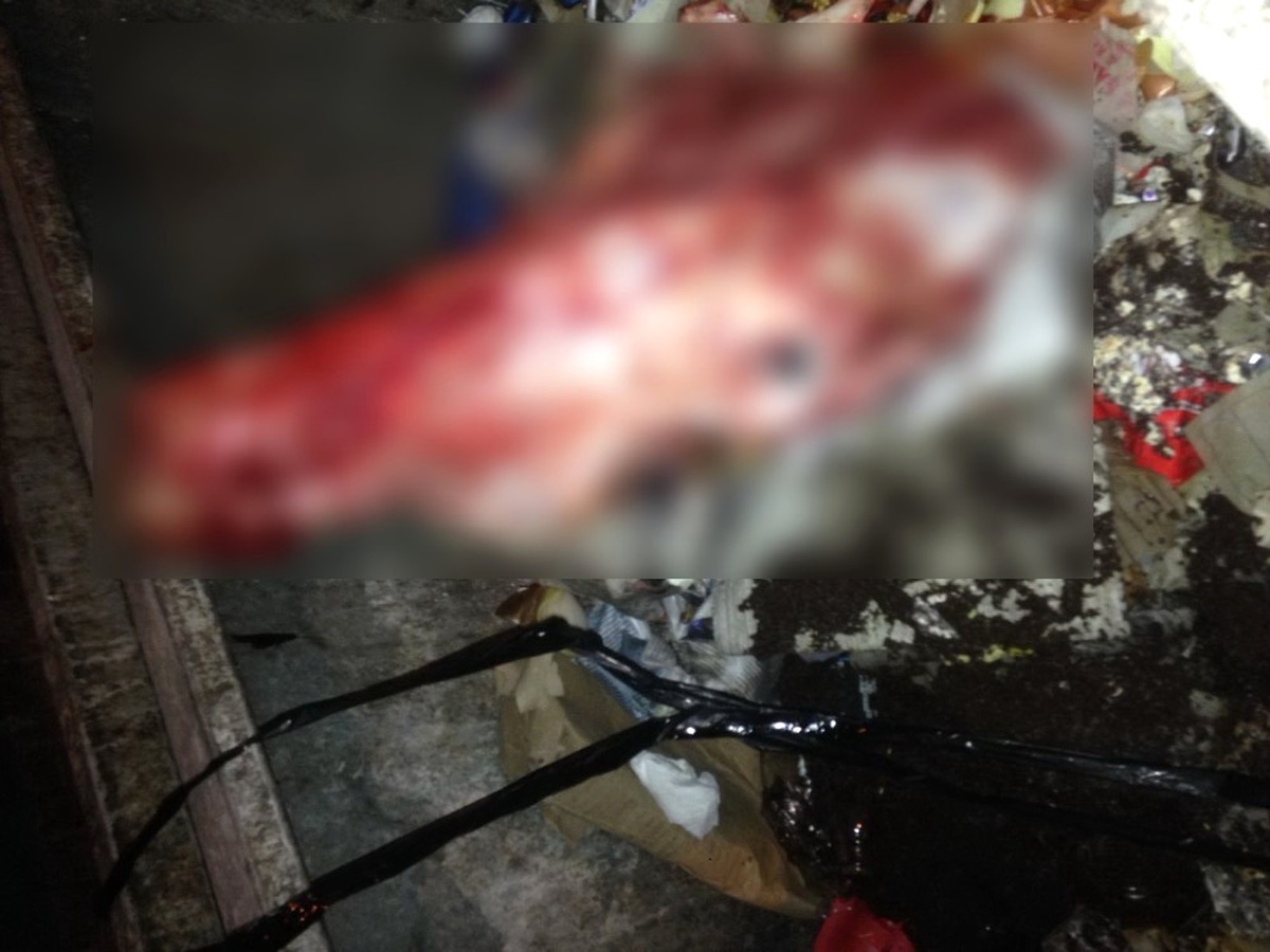 Çöpten Çıkarılan Kesik Başın Sığıra Ait Olduğu Anlaşıldı