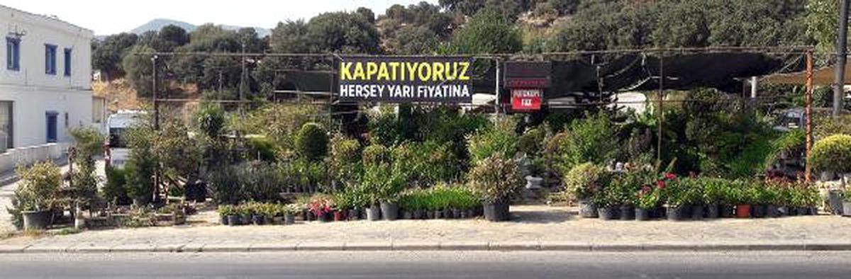Dükkan Önünden Çiçek Hırsızlığı Kamerada