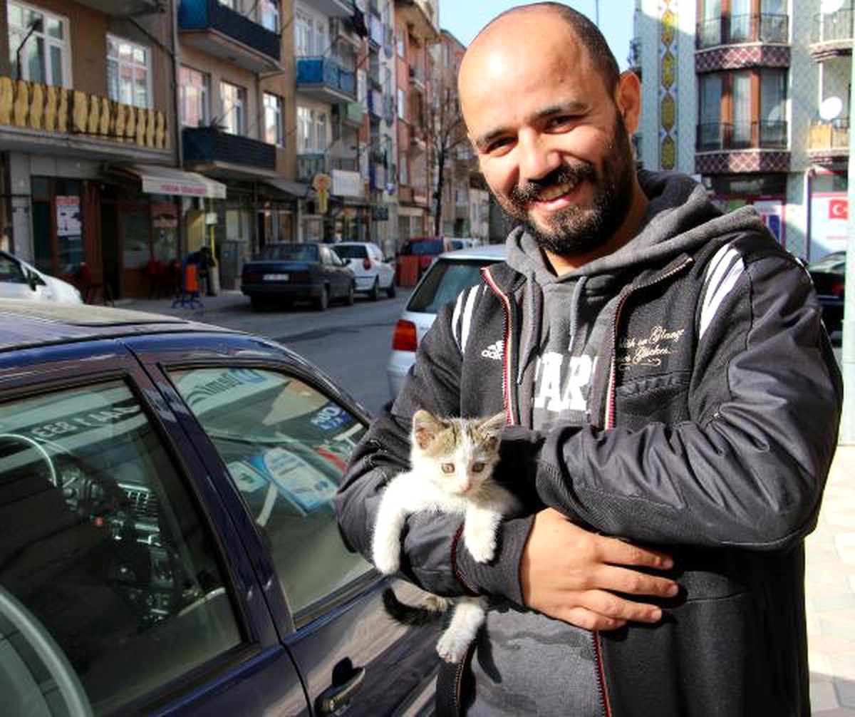 Otomobilinin Motor Kısmına Giren Yavru Kediyi Sahiplendi