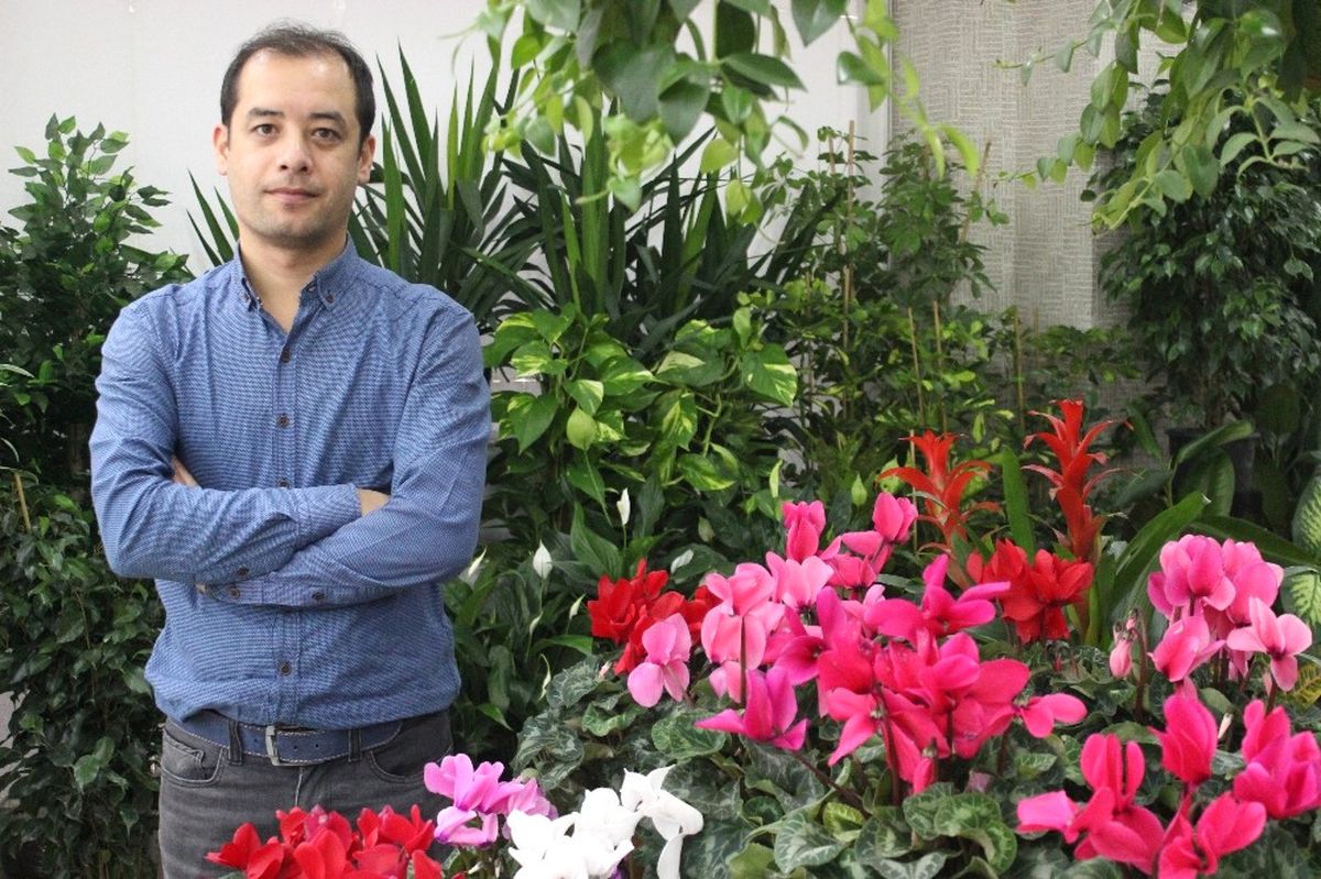 Soğuk Havalarda Çiçek Bakımı