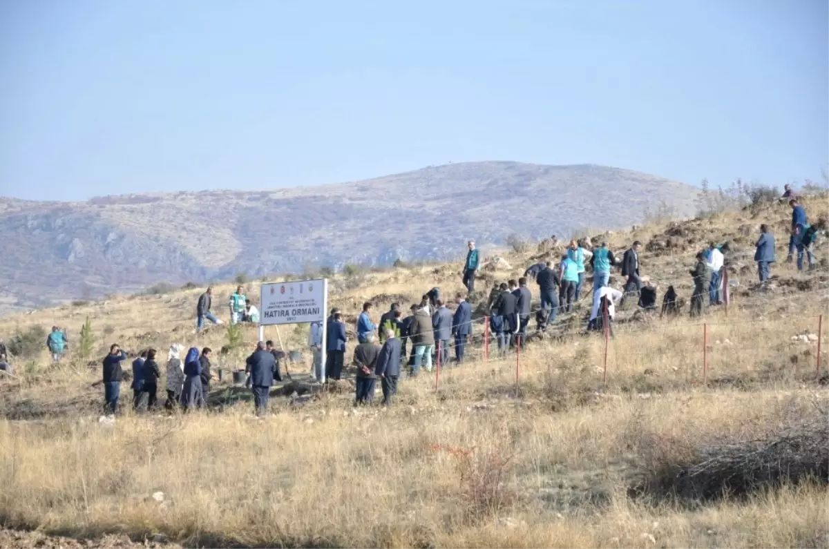 Denetimli Serbestlik Hükümlüleri Fidan Dikti