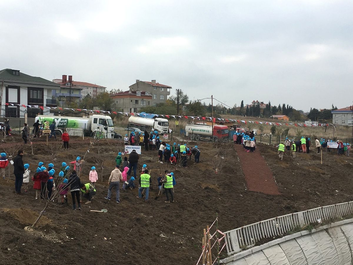 İstanbul\'a Dev Meyve Ormanı