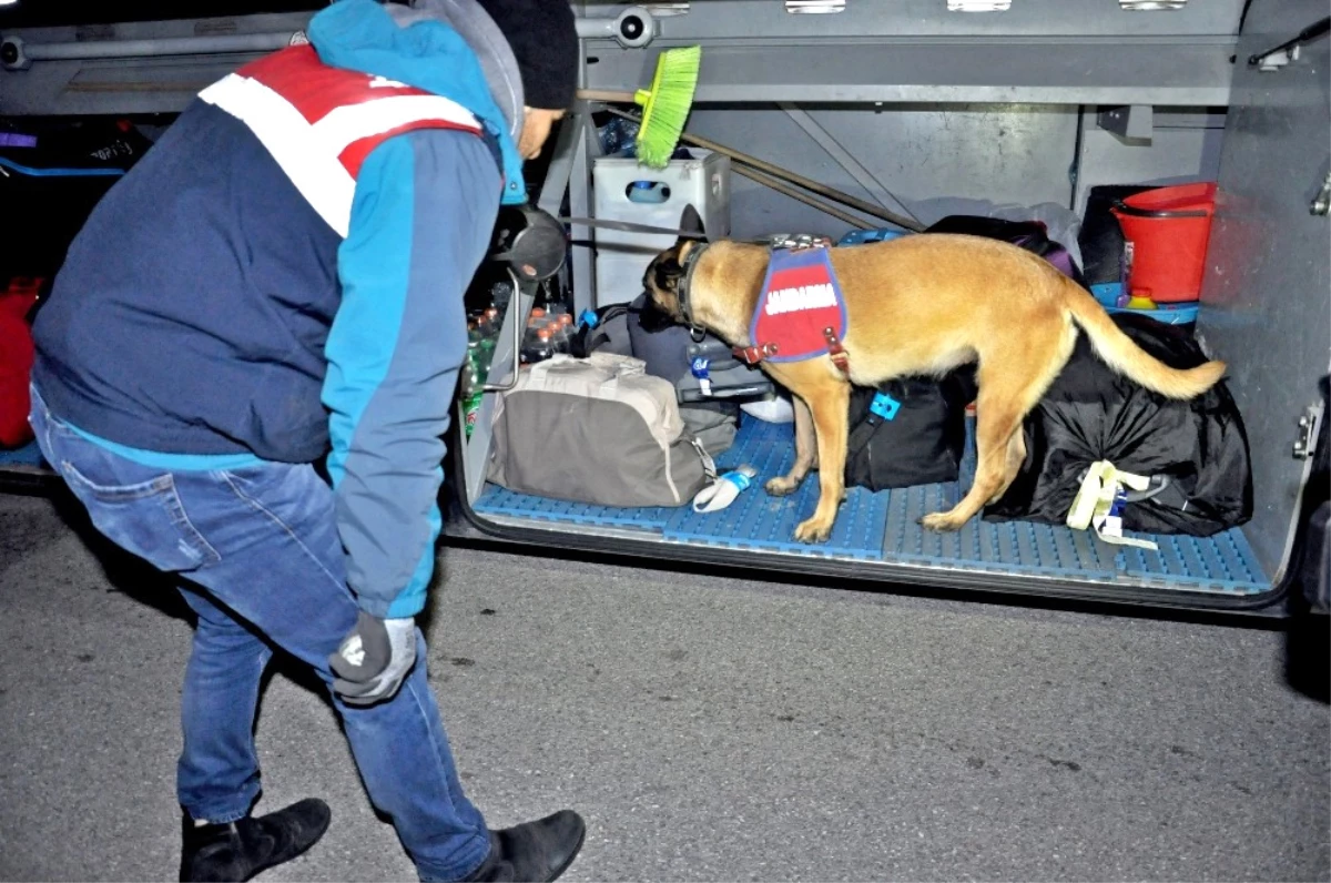 Jandarmadan Narkotik ve Bomba Arama Köpekli Asayiş Uygulaması