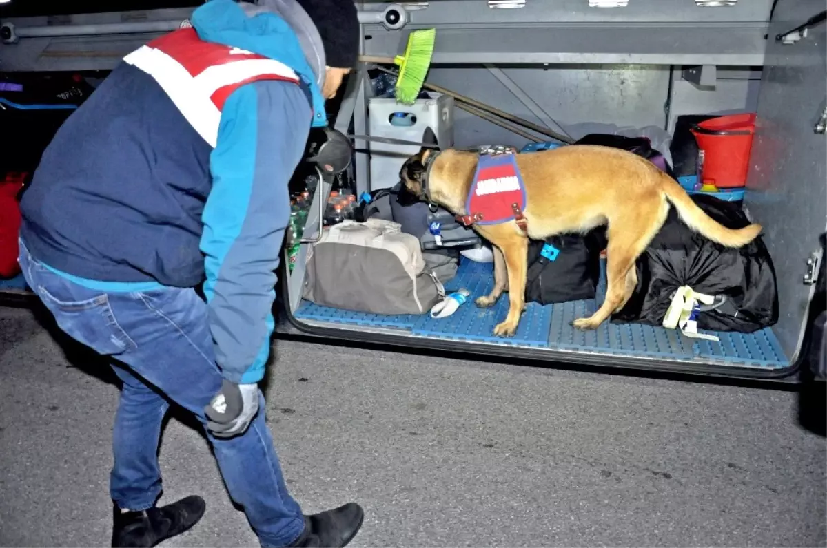 Jandarmadan Narkotik ve Bomba Arama Köpekli Asayiş Uygulaması