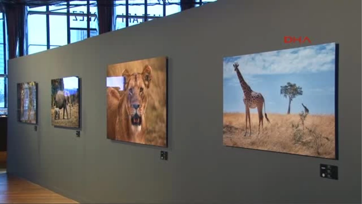 Oyuncu Engin Altan Düzyatan\'ın Afrika\'da Çektiği Fotoğraf Sergisi Açıldı