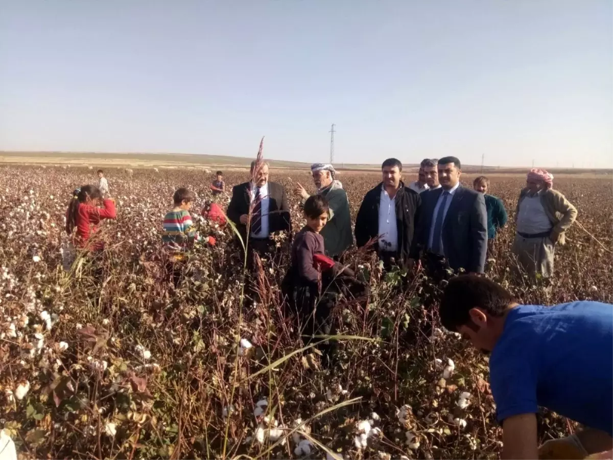 Siverek Sgk Çalışanları Kırsaldaki Vatandaşları Bilgilendiriyor