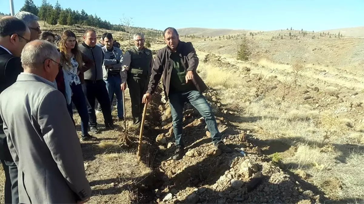 Yunak\'ta Bin Adet Fidan Toprakla Buluşturuldu