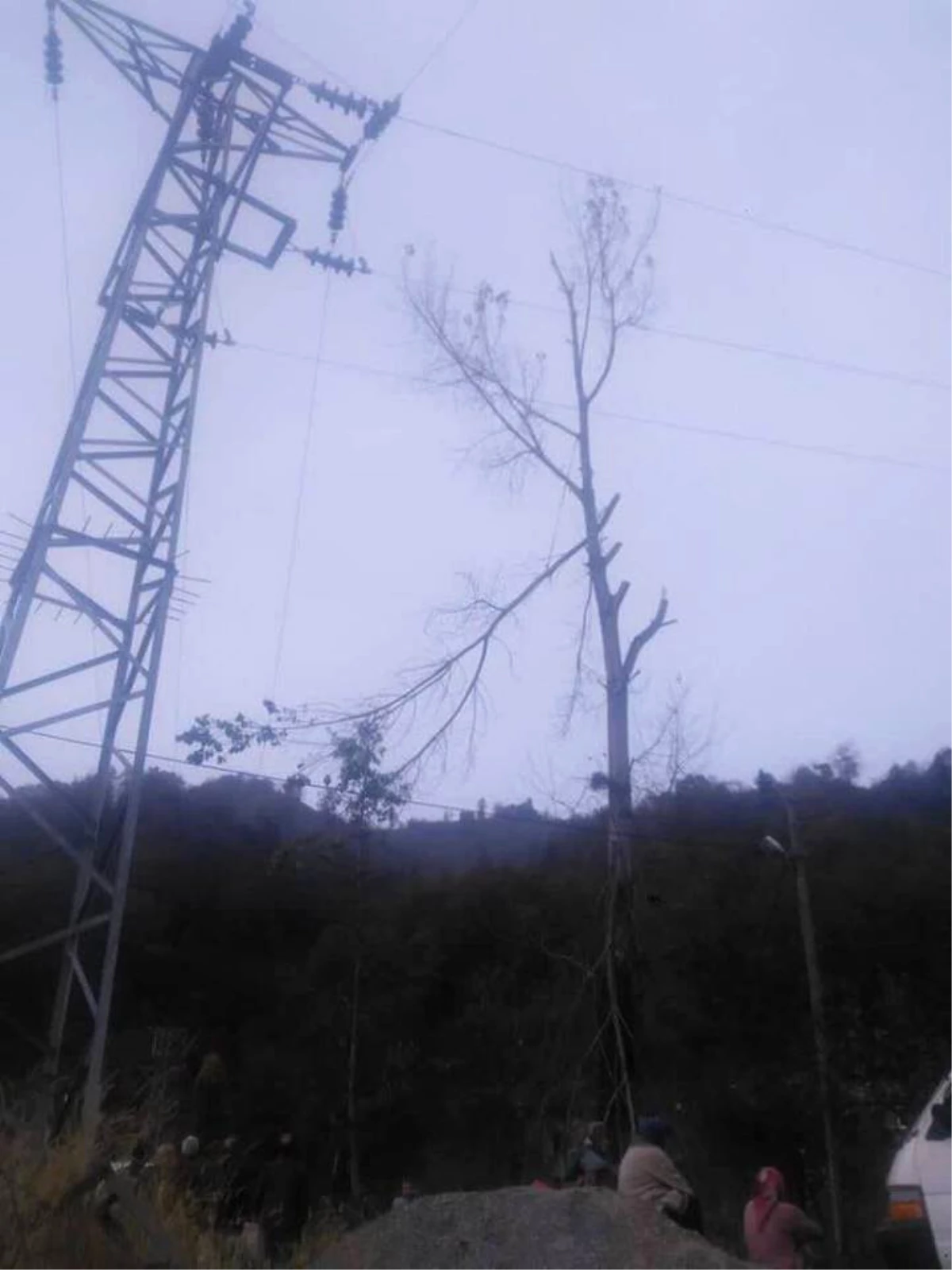 Budamak İçin Çıktığı Ağaçta Elektrik Akımına Kapıldı