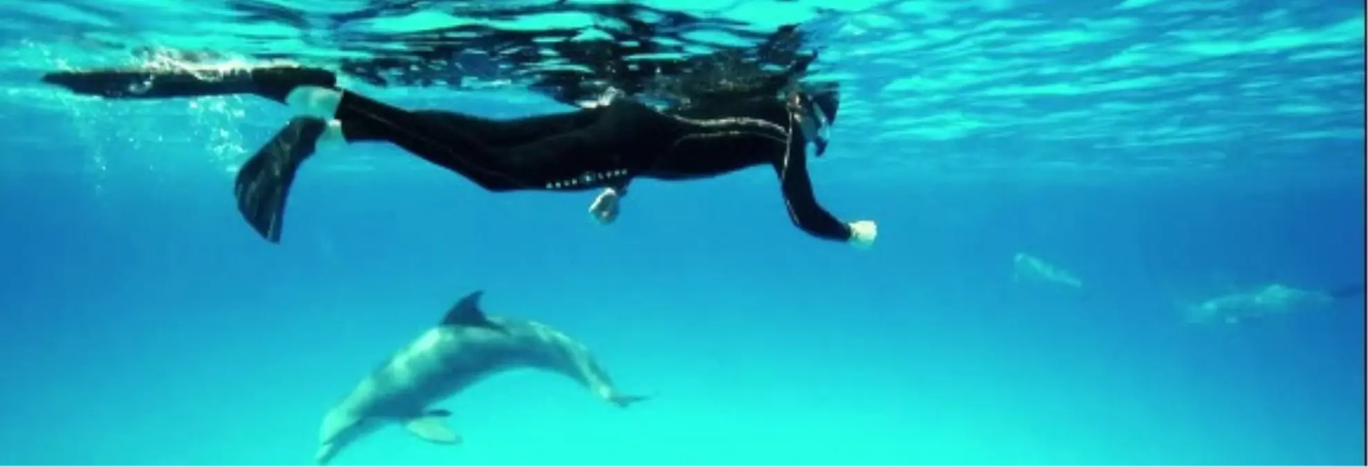 Harika Gezegen Dünya Bizi Çağırıyor!