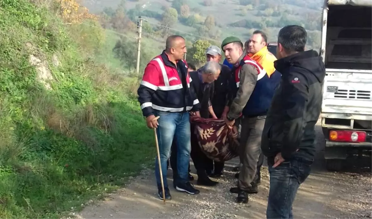 Kayıp Gaziyi "Lamba" Buldu