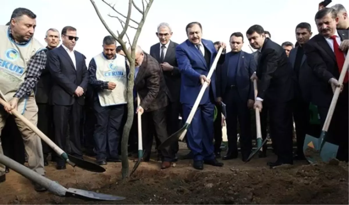 New York Central Park\'ın Üç Katı Büyüklüğünde Bir Alanı Hazırladık