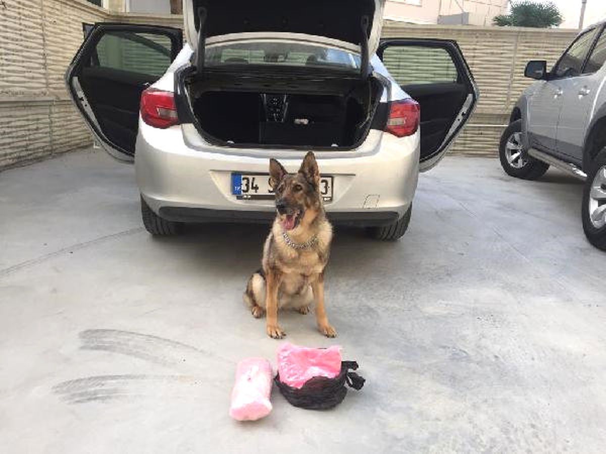 Otomobilden Uyuşturucu Çıktı