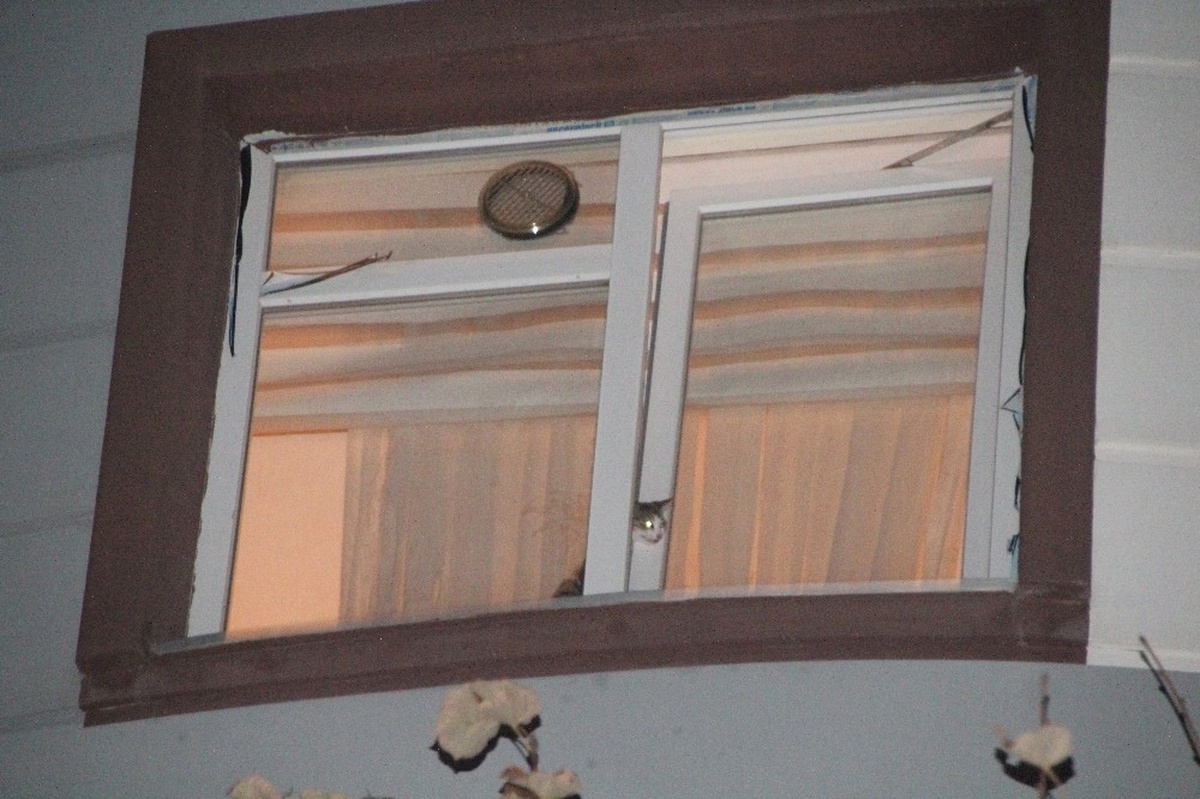 Kafasını Pencereye Sıkıştıran Kedi İtfaiye Ekipleri Tarafından Kurtarıldı