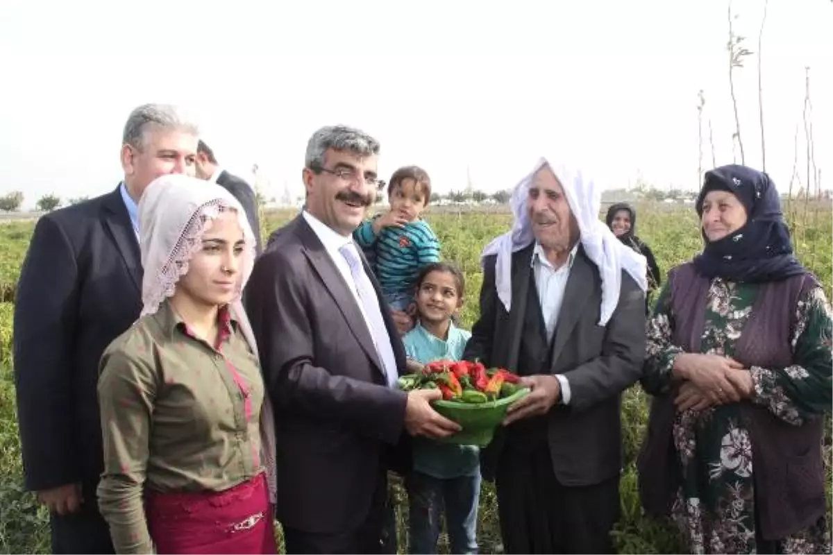 Sgk Başkanı Bağlı: Çocuk İşçiliğiyle Mücadelede Sıfır Tolerans Göstereceğiz