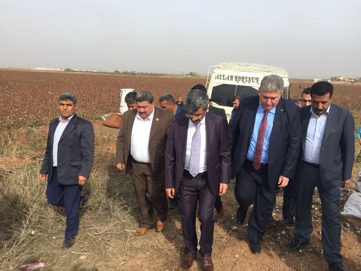 Sgk Başkanı Pamuk Tarlasında Çocuk İşçi Aradı