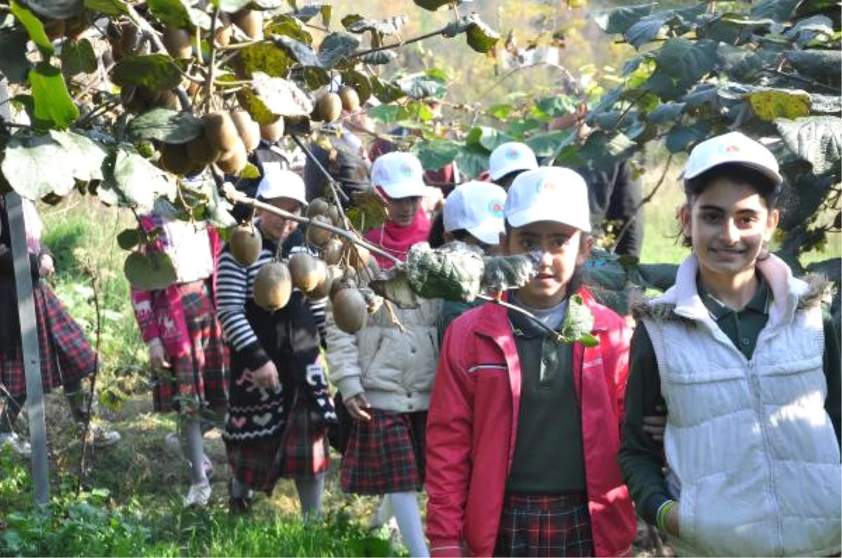Trabzon\'da Çocuklara Toprağı ve Tarımı Sevdirecek Proje