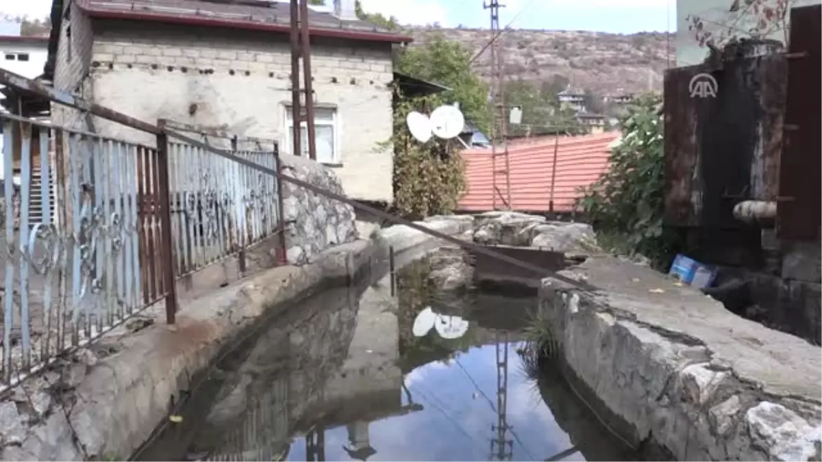 Babadan Kalma "Tahin Değirmeni"Nin Çarkını Döndürüyor