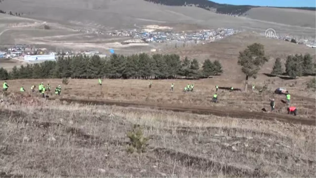 Her Öğretmen İçin Bir Fidan Diktiler