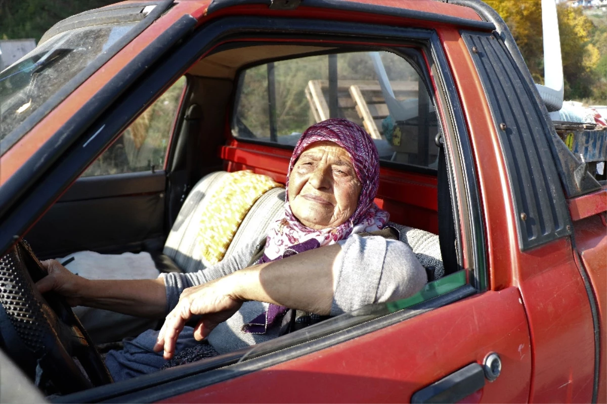 71 Yaşındaki Fatma Teyze, Kamyonetiyle Semt Pazarlarına Ürün Taşıyor