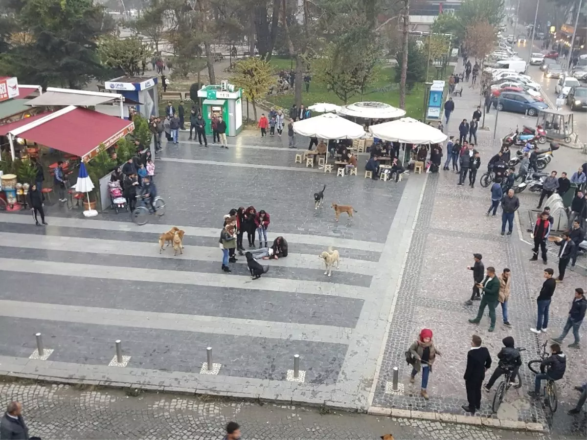 Uyuşturucuya Dikkat Çekmek İçin Sokakta Oynadılar