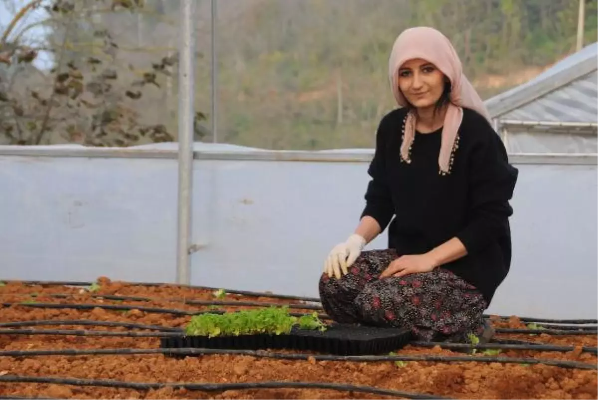 Giresun\'da Kadın Çiftçiler Aldıkları Hibelerle Üretime Başladı