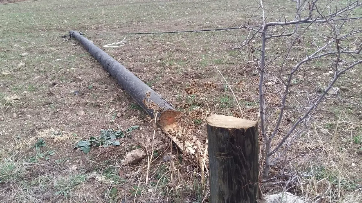 Kablo Hırsızını Jandarma Yakaladı