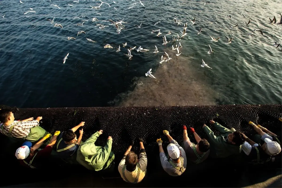 Marmara Denizi Masaya Yatırılacak