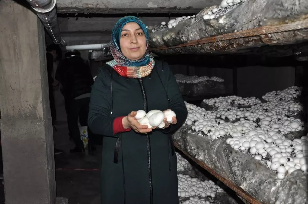 Girişimci Ev Hanımının Yüzünü Kültür Mantarı Güldürdü