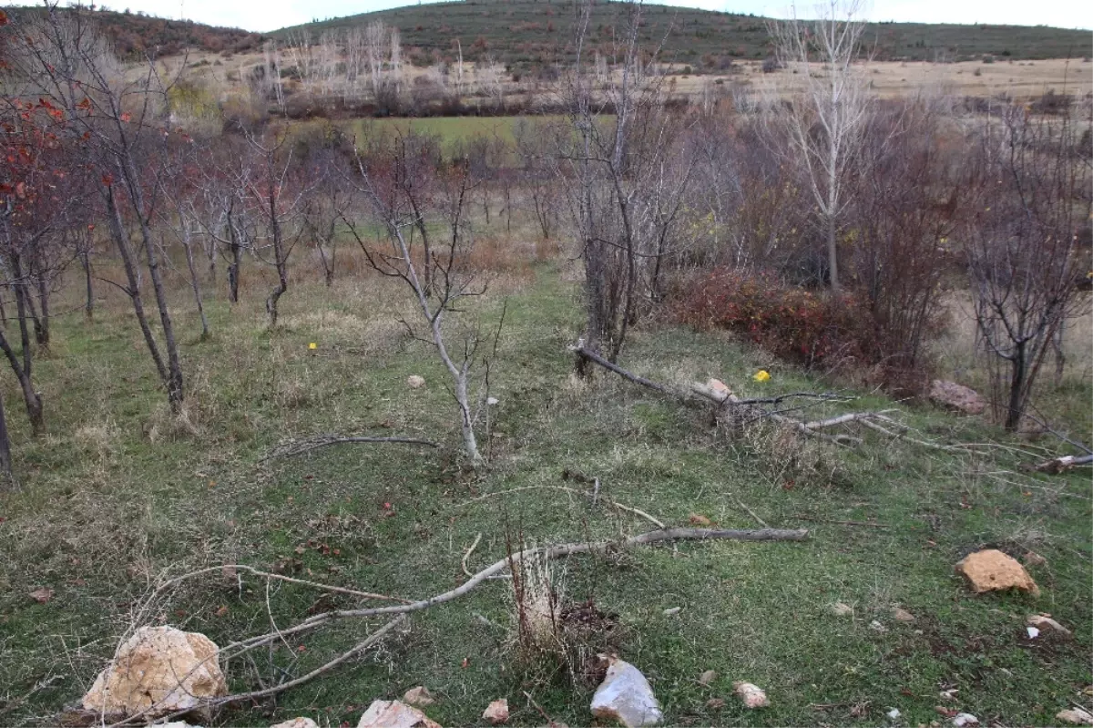 Hayvan Otlatma Yeri Kavgası: 1 Ölü, 1 Yaralı