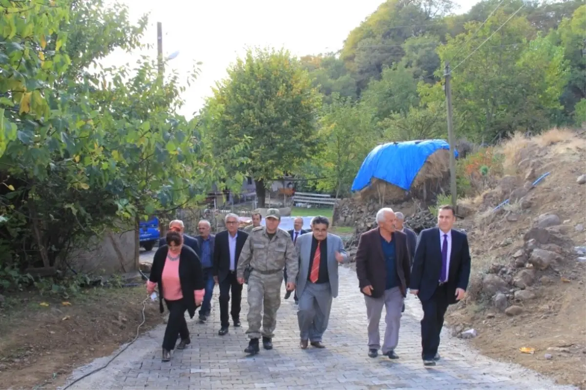 Kaymakam Kapankaya Köylerdeki Çalışmaları İnceledi