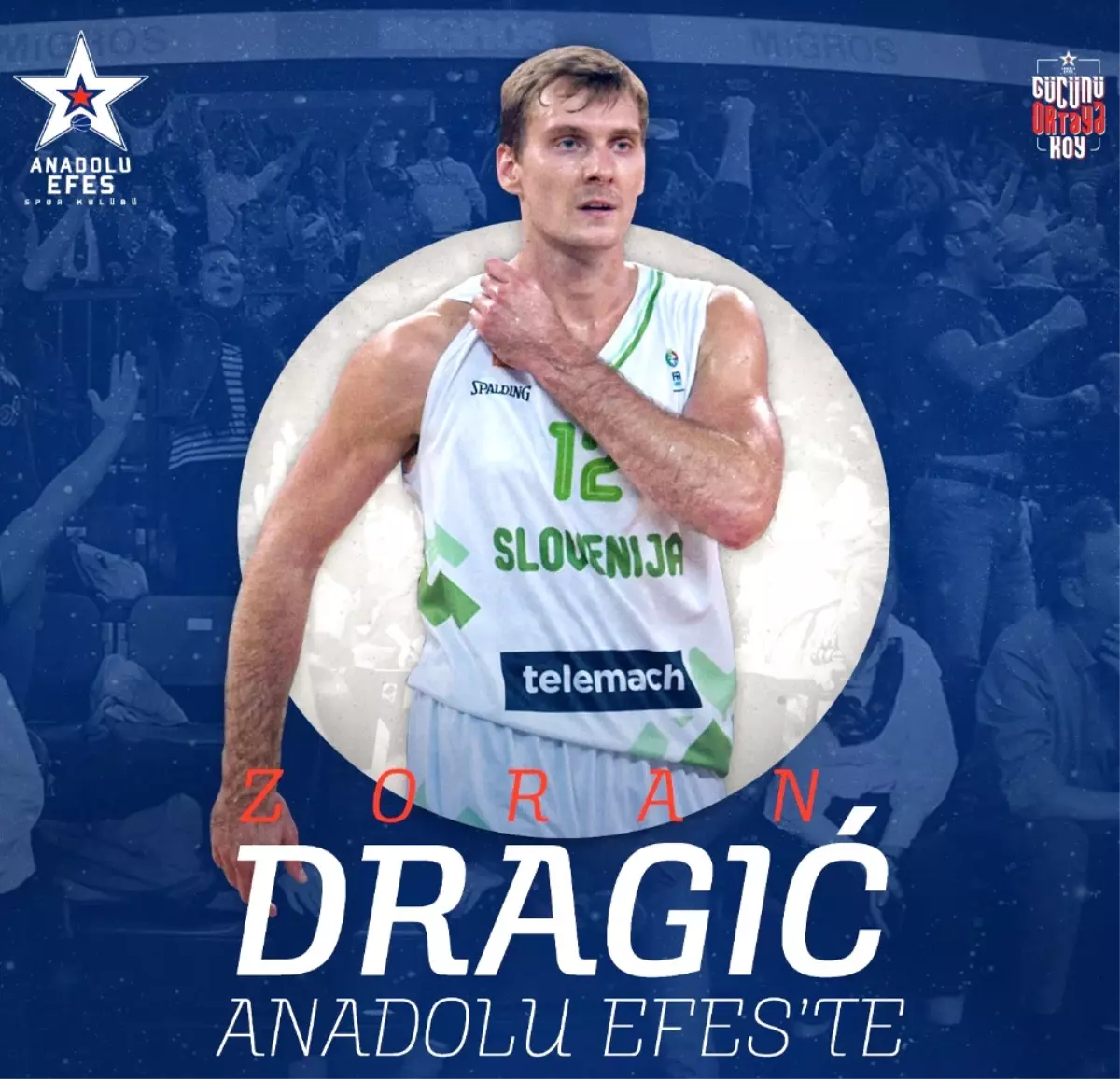 Zoran Dragic Andolu Efes\'te