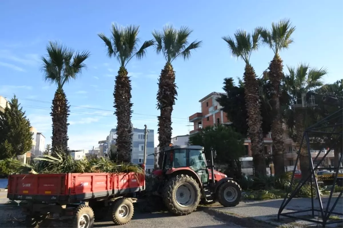 Aliağa\'da Eğitim Kurumlarına Belediyeden Kış Bakımı