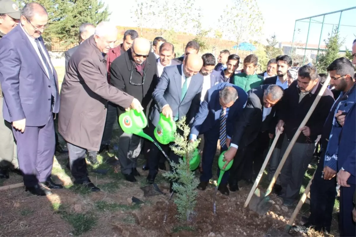 Bakan Yardımcısı Tüfekçi Okul Bahçesine Fidan Dikti