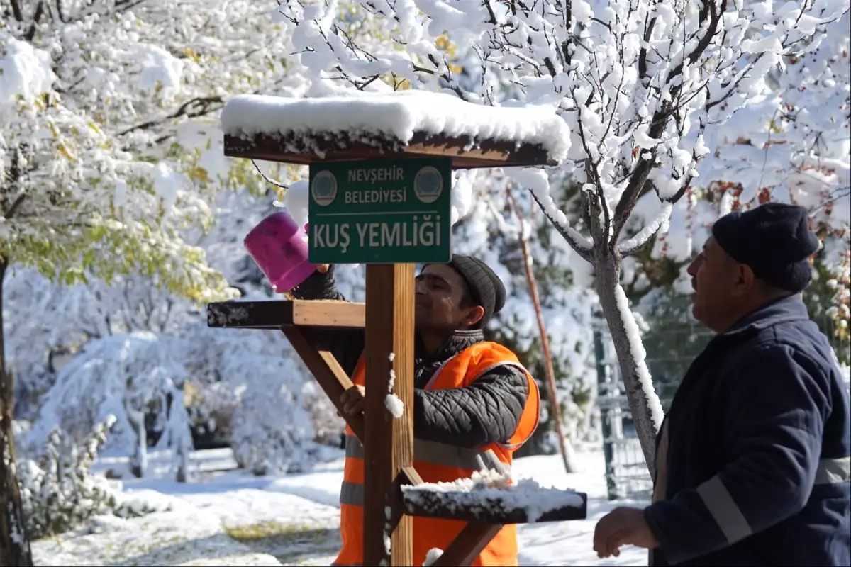 Belediye Ekipleri, Kuşlara Yem Bıraktı