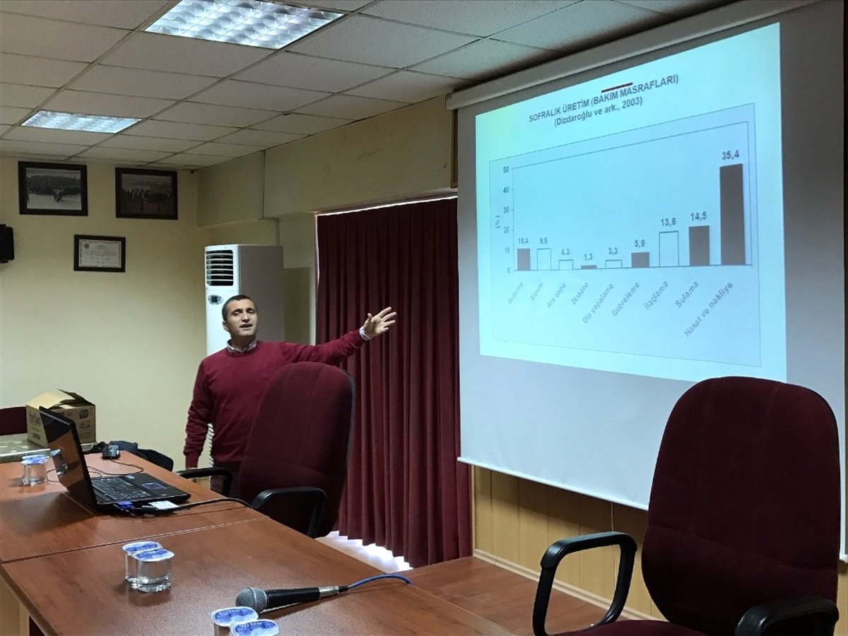 Söke\'de Üreticiye Zeytin Yetiştiriciliği ve Hasadı Anlatıldı
