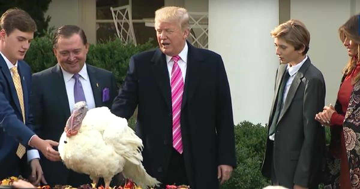 Trump İki Hindinin Yaşamını Bağışladı