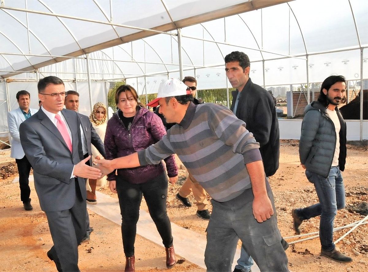 Başkan Balcı, Fidan ve Mevsimlik Çiçek Projesi Çalışmalarını Denetledi