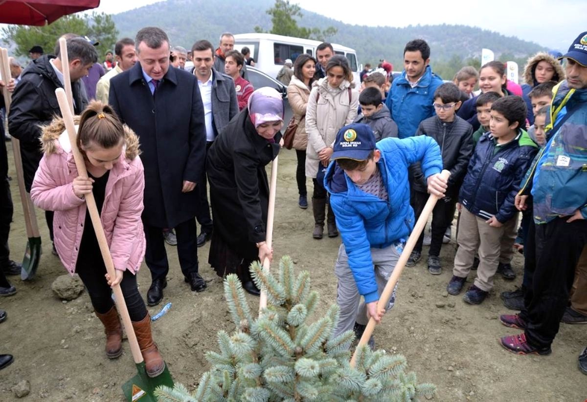 Bilecik\'te "Her Öğretmene Bir Fidan" Projesi Kapsamında 2 Bin Fidan Dikildi