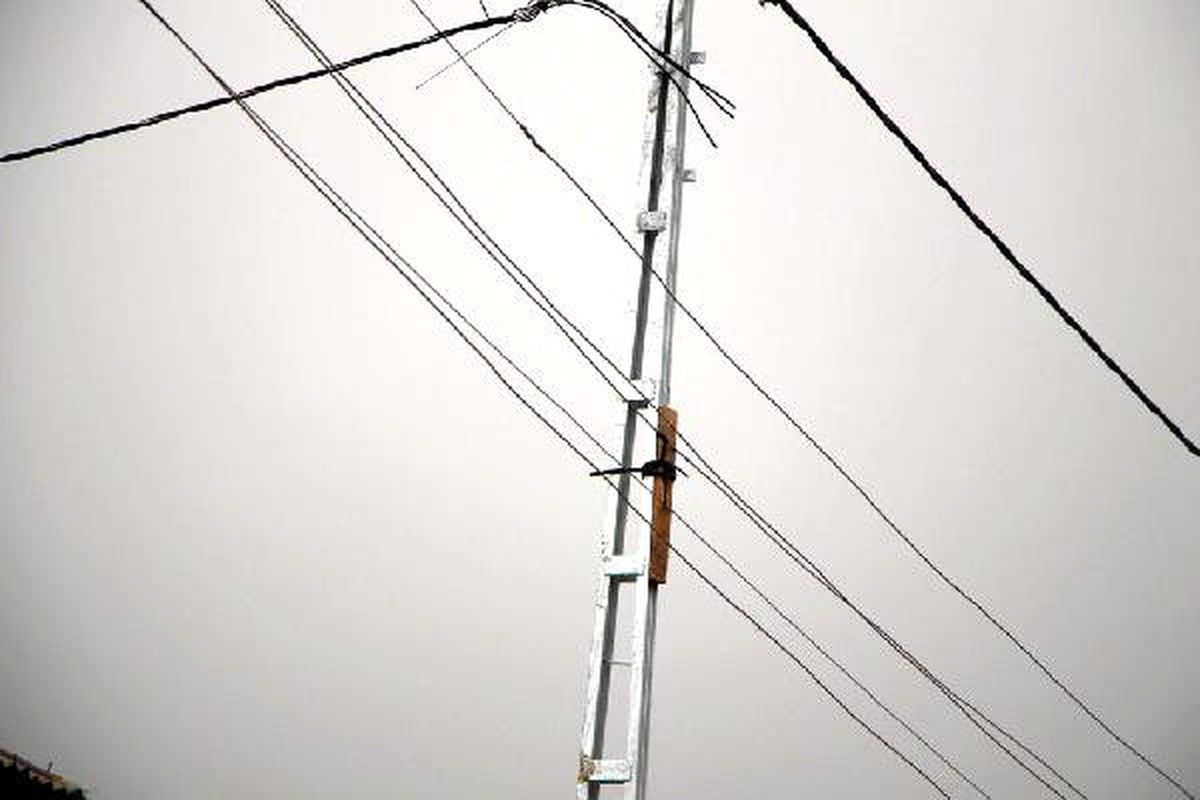 Elektrik İletim Hatlarının Direklerle Teması Tahtalarla Önleniyor