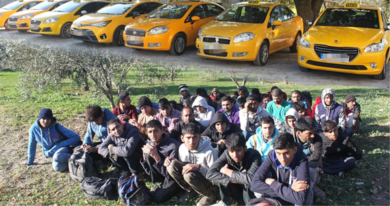 Kaçaklar Taktik Değiştirdi! Taksi ile Kaçmaya Hazırlanan 46 Göçmen Yakalandı
