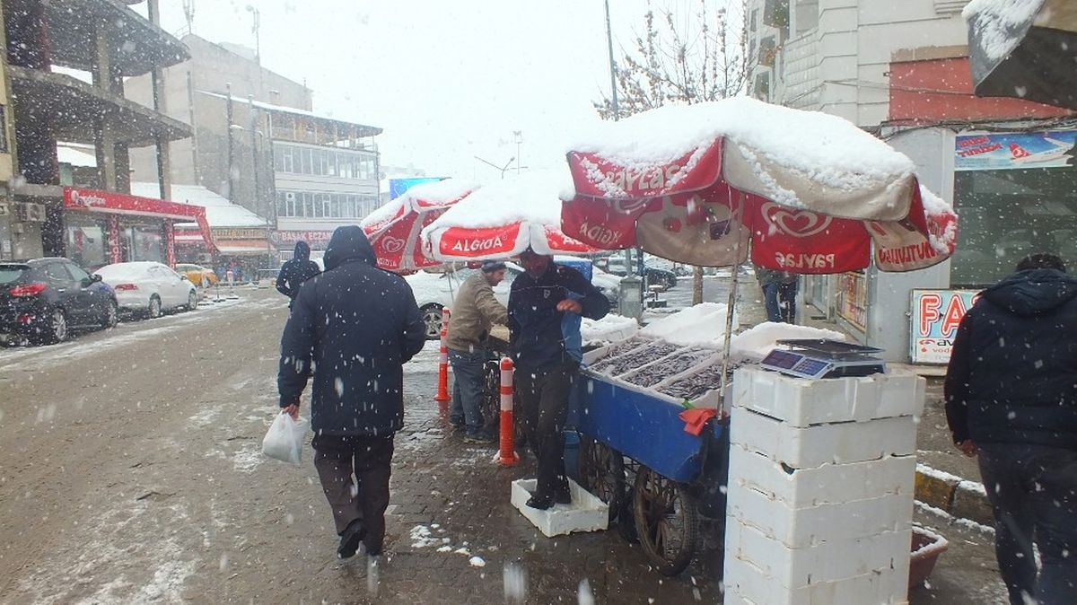 Malazgirt\'te Kar Yağışı