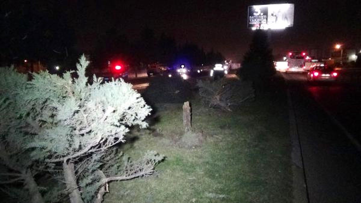 Otomobil, Refüjdeki Ağaçlara Çarptı: 2 Yaralı