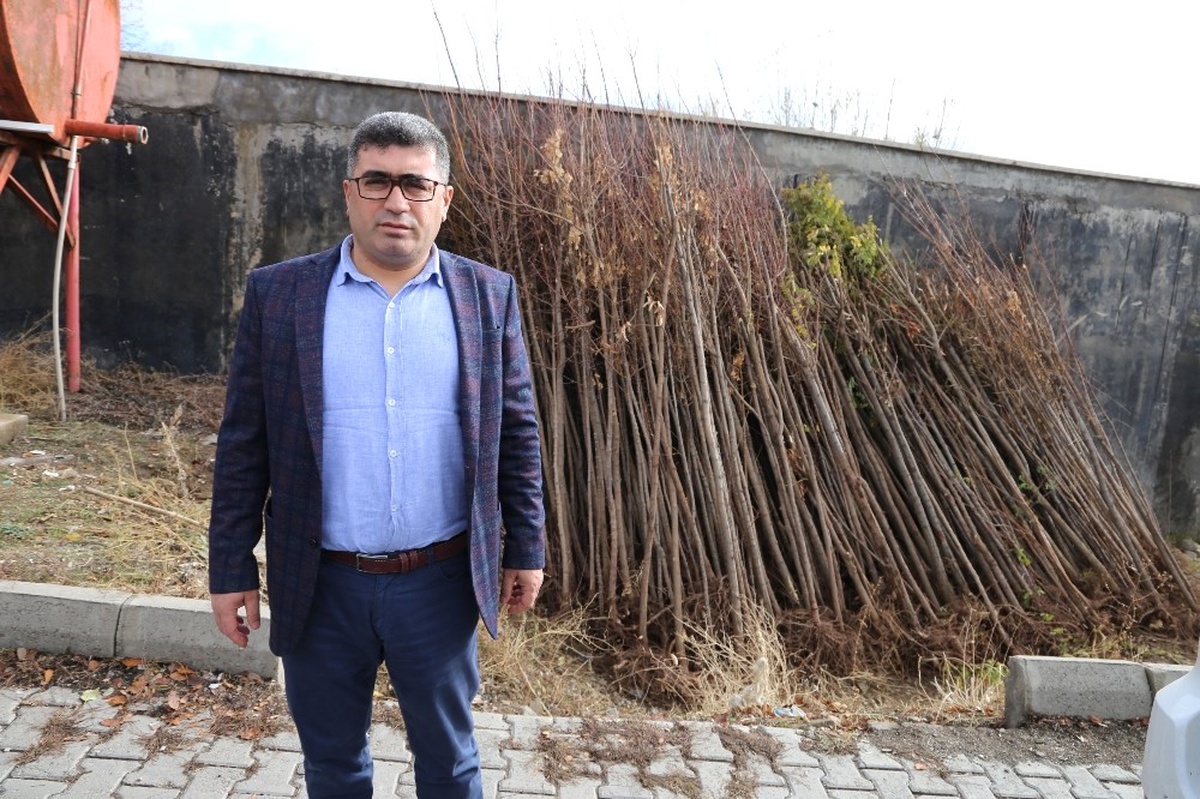 Varto Belediyesinden Ağaçlandırma Çalışması