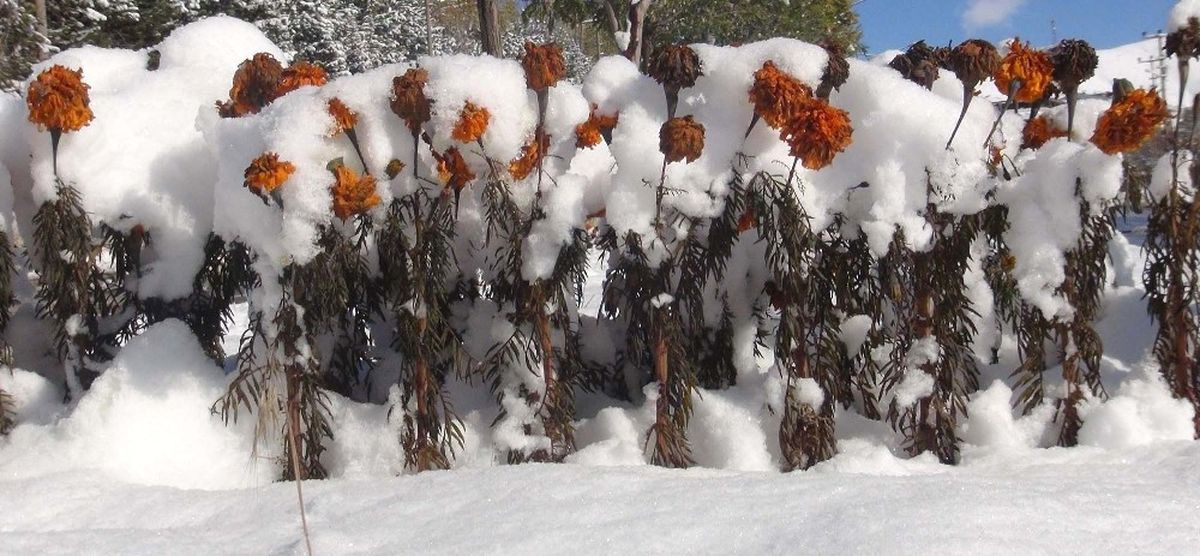 Bitlis\'te 51 Köy Yolu Ulaşıma Kapandı