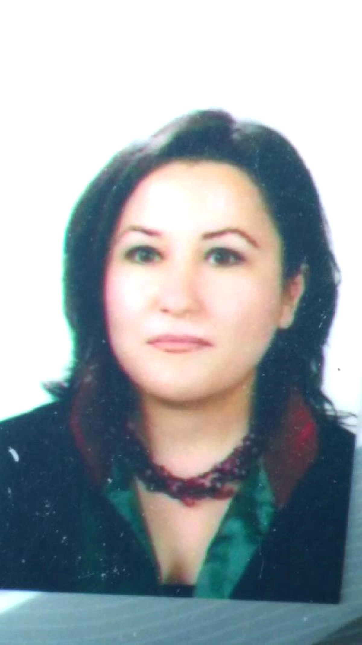 CHP\'li Kadınlara Hakaret Eden Öğretmeni CHP\'li Kadın Avukat Savundu (2)