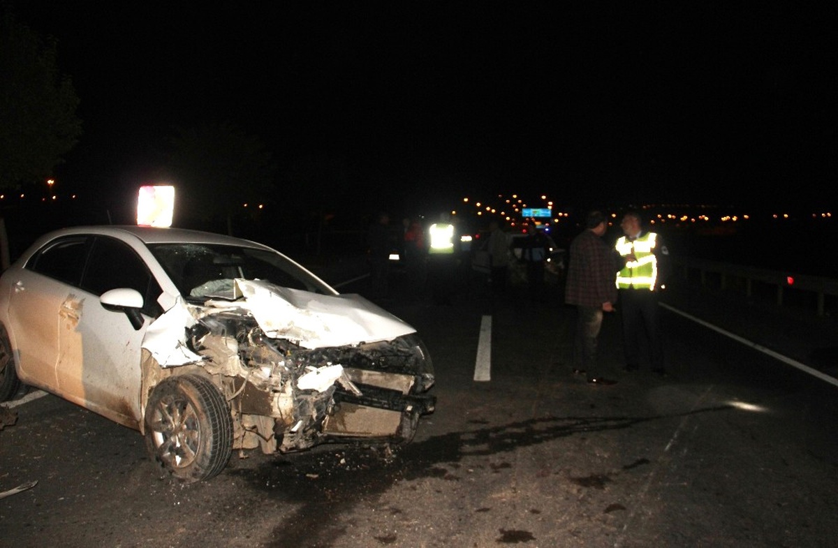 Her Yıl 1,25 Milyon Kişi Trafik Kazalarına Kurban Gidiyor