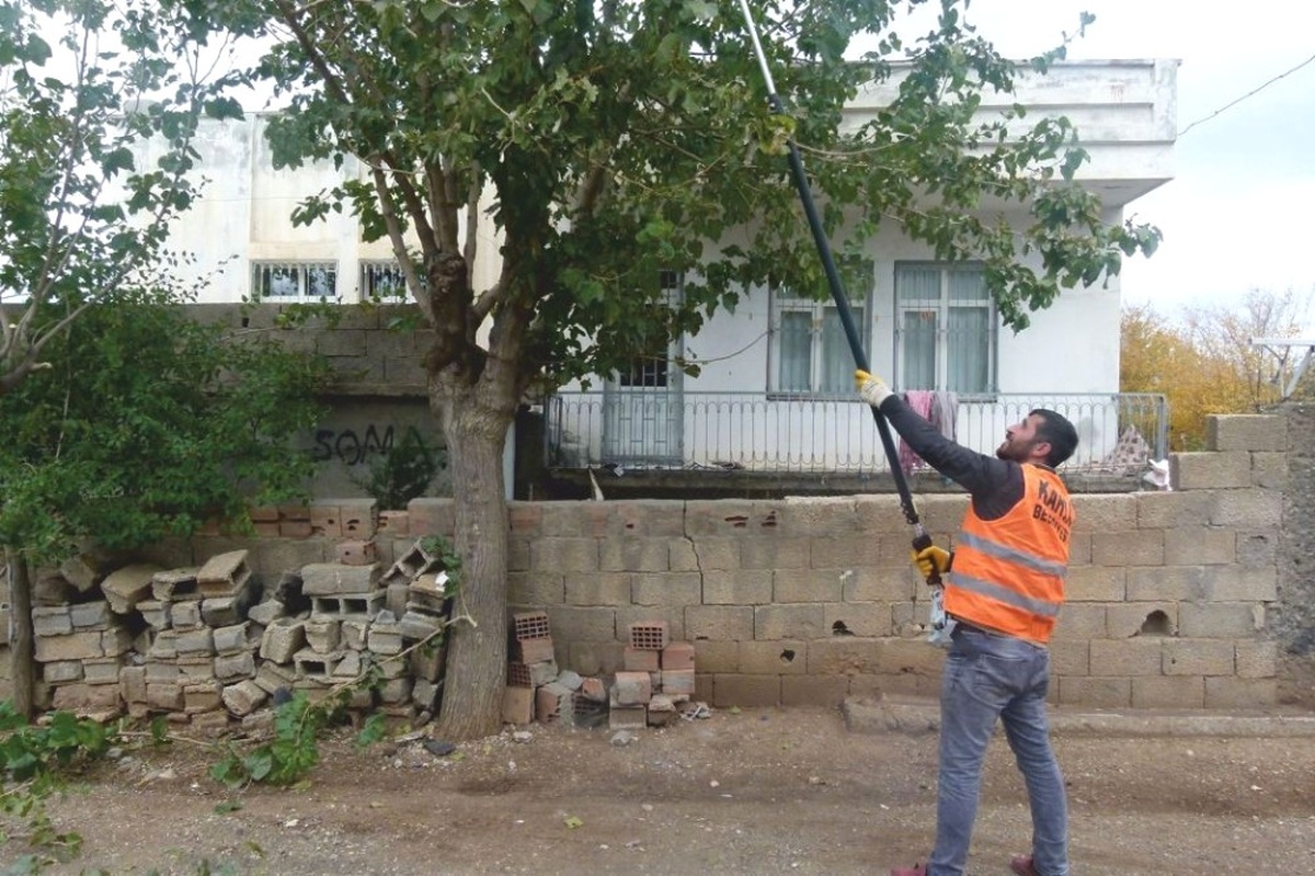 Kahta Belediyesi Ağaçlara Kış Budaması Yapıyor