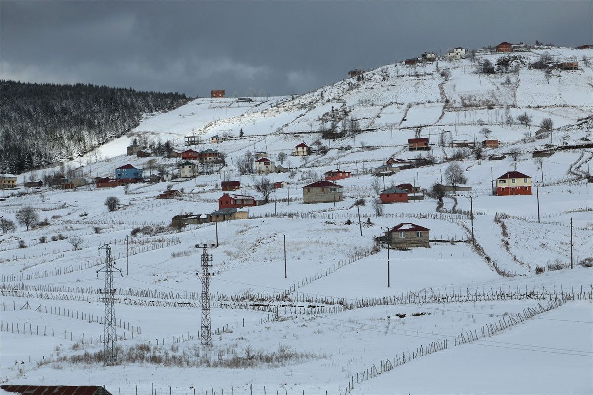 Ordu\'da "Yayla Evlerinde Erzak Bırakmayın" Uyarısı