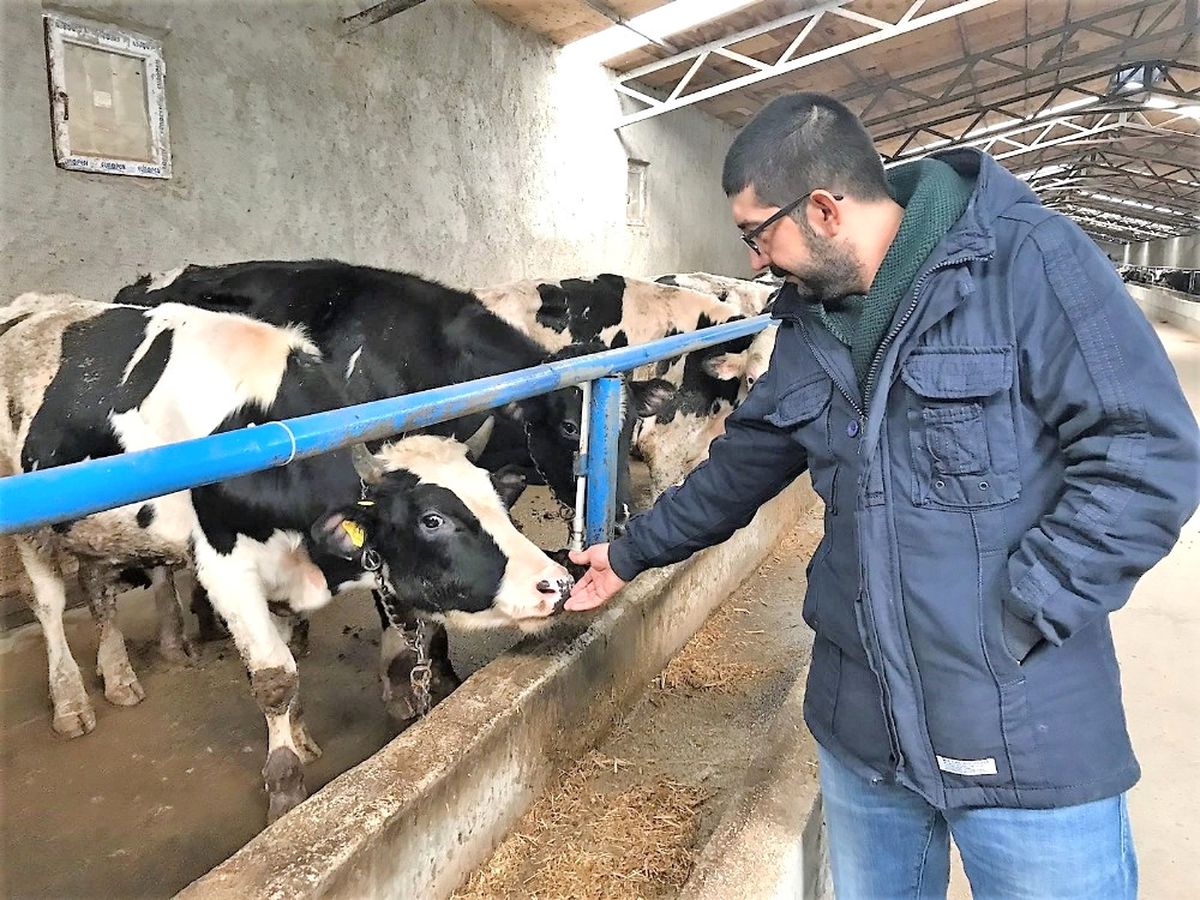 Üretici Ucuz Et Formülünü Açıkladı